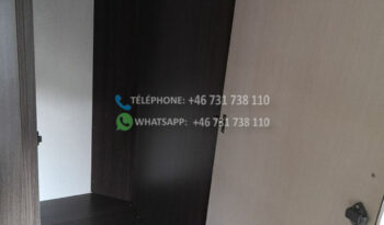 Renault Rimor ADR97F3 CATAMARAN 9* 2014 full