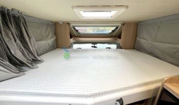 Sunlight T 65* 2018 full