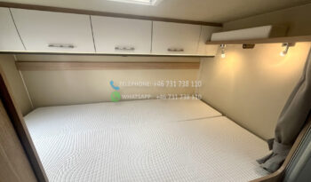 Sunlight T 65* 2018 full