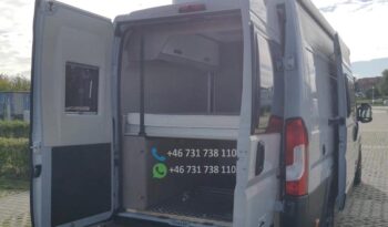 Chausson v 650*2024 full
