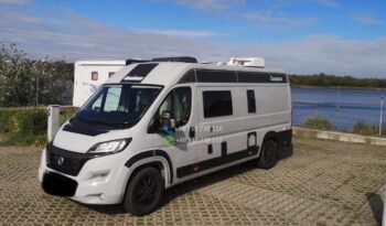 Chausson v 650*2024 full