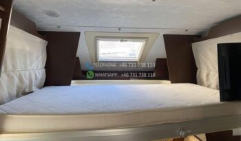 Roller Team T-line XL*2013 full