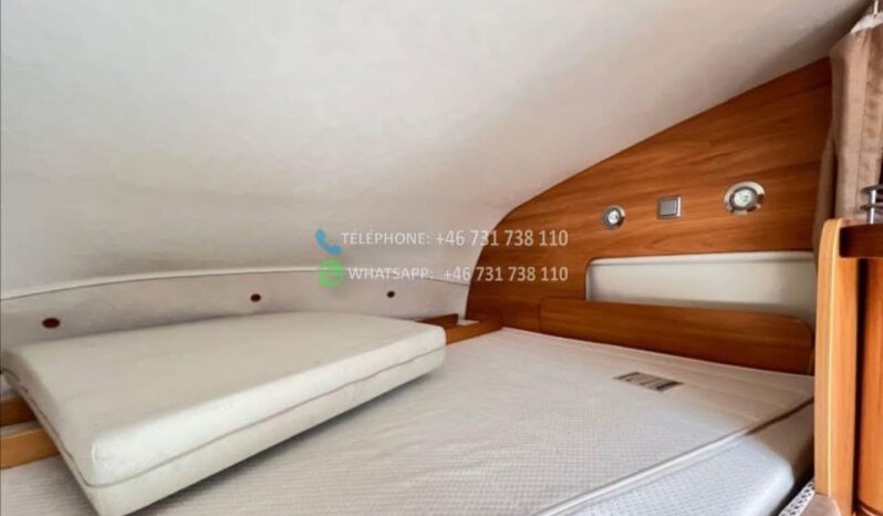 Fiat Hymer ERIBA TRAM 684*2010 full