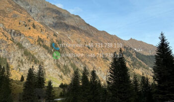 Volkswagen Crafter*2014 full