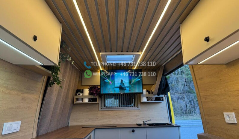 Fiat Ducato* 2018 full