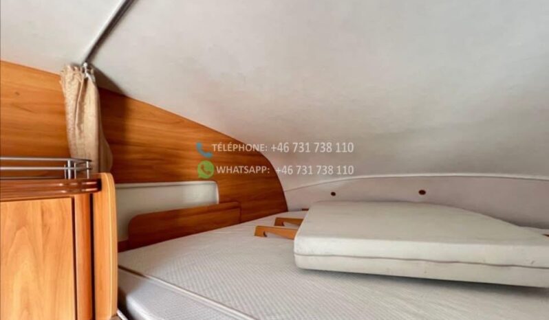 Fiat Hymer ERIBA TRAM 684*2010 full