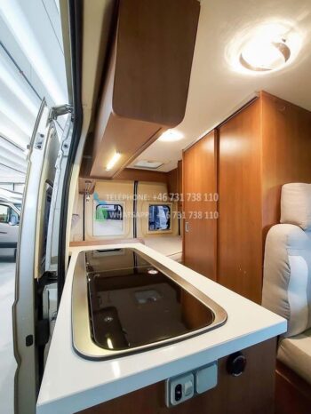 Roller Team Livingstone 2 Sport*2015 full