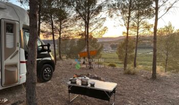 McLOUIS 879G*2020 full