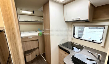 Sunlight T 65* 2018 full