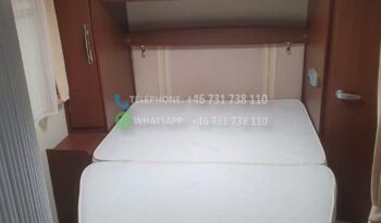 Roller Team T-line XL*2013 full