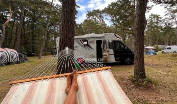 McLOUIS 879G*2020 full