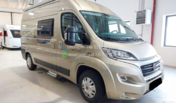 Roller Team Livingstone 2 Sport*2015 full