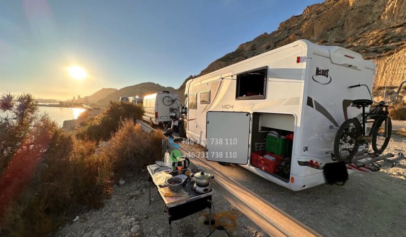 McLOUIS 879G*2020 full