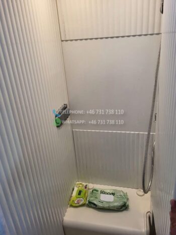 Globebus Dethleffs*2010 full