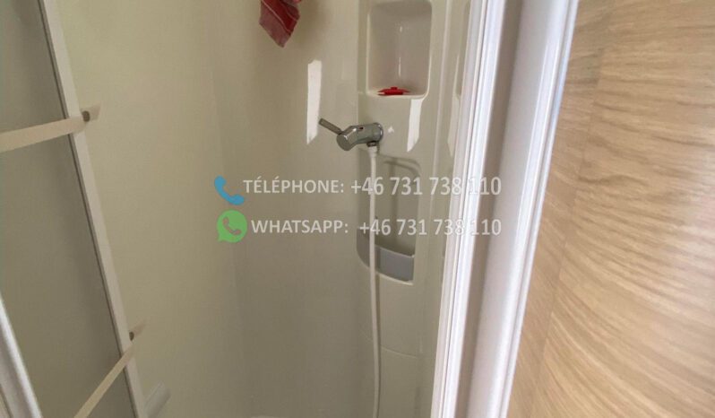 Renault GRANDUCA 295 P* 2006 full