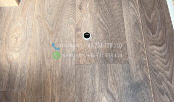 Sunlight T68* 2021 full