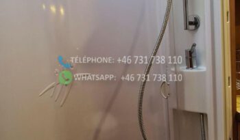 Fiat Rapide 903F *2010 full