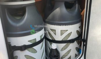 Fiat Ducato P200 SEA* 2009 full