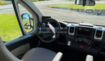 Solifer Action T738* 2018 full