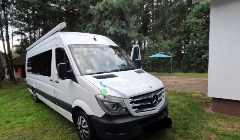 Mercedes-Benz Sprinter*2014 full