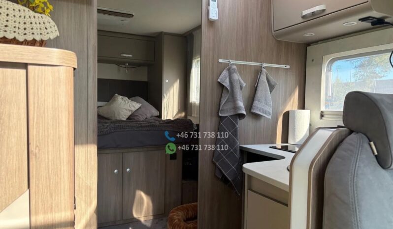 Carado T449*2024 full