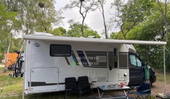 Carado T449*2024 full