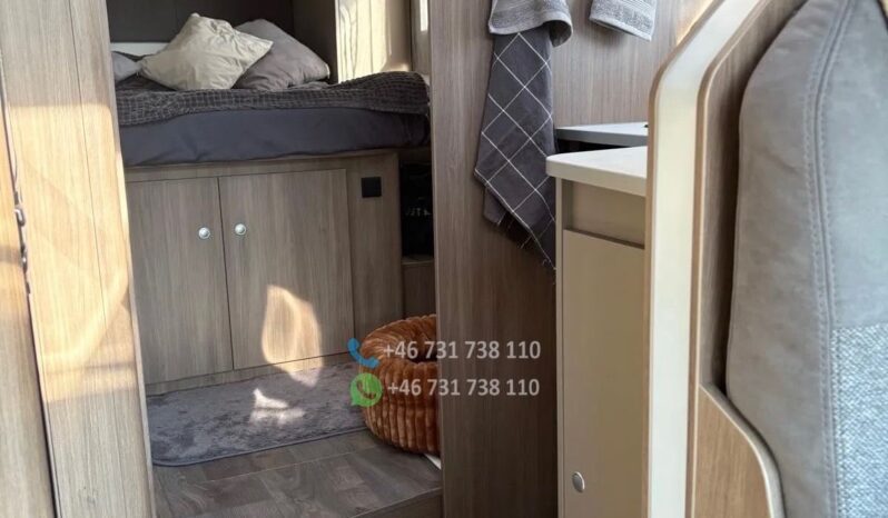 Carado T449*2024 full