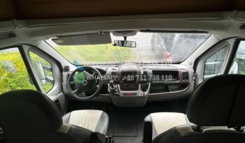 Fiat TRIGANO AUTOROLLER GARAGE P – Homologué* 2008 full