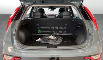 Kia Niro* 2023 full