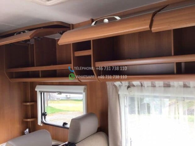 Action solifer* 2013 full