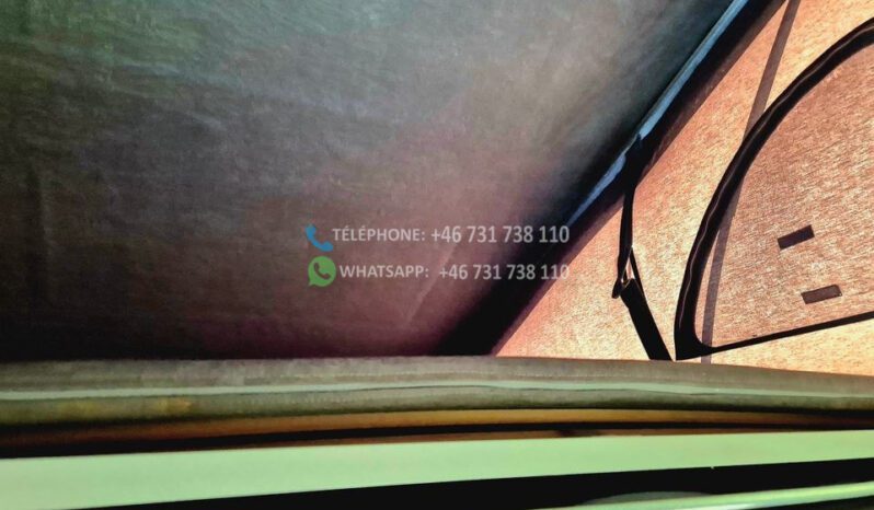 Renault Knaus R44* 2006 full