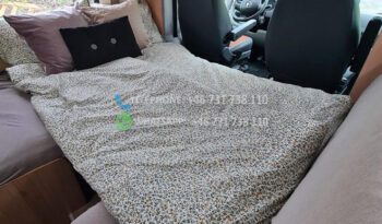 Fiat Burstner* 2011 full