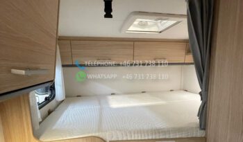 Fiat Sunlight V60*2020 full