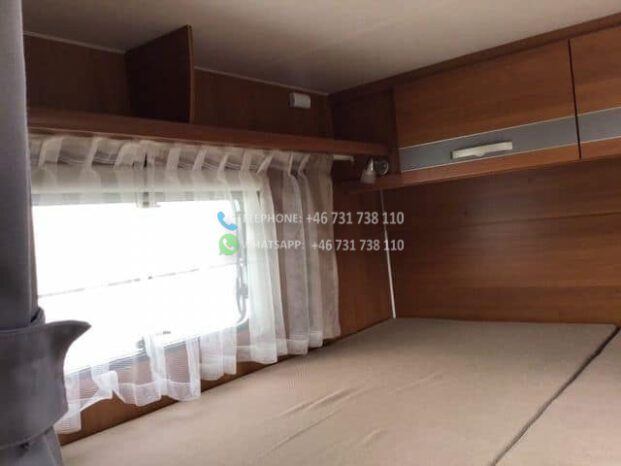 Action solifer* 2013 full