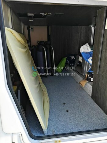 Fiat Benimar Mileo 296* 2018 full