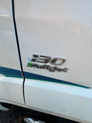 Fiat Chausson Flash M10* 2011 full