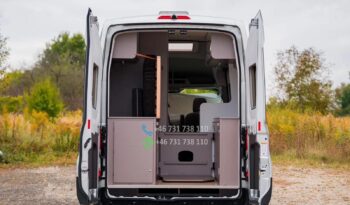 Ford Bürstner Signeo C590 Bahia TRANSIT*2024 full