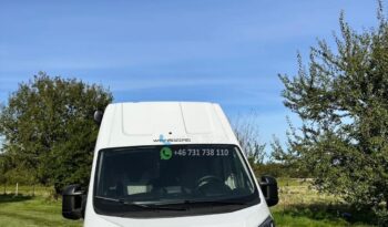 Weinsberg CaraBus 600DQ Édition FEU*2024 full