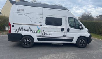 CITROEN BURSTNER C540 CAMPEO BLACK FOREST* 2023 full