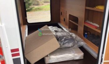 Action solifer* 2013 full