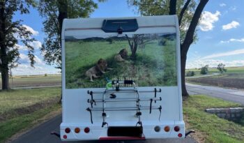 Ford Transit*2017 full