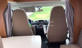 Action solifer* 2013 full