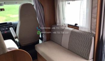 Action solifer* 2013 full