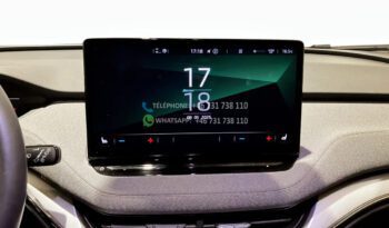 Škoda Enyaq iV 80* 2022 full