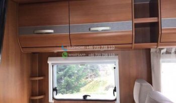 Action solifer* 2013 full