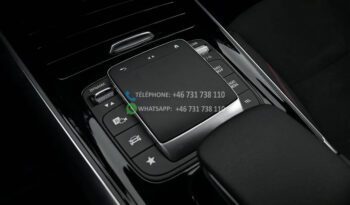 Mercedes-Benz EQA 250+ AMG* 2024 full