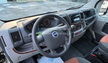 Fiat SEA Homologu* 2007 full