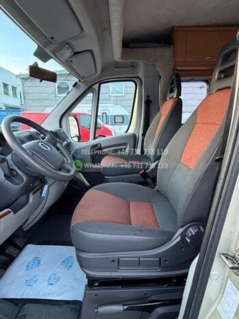 Fiat SEA Homologu* 2007 full