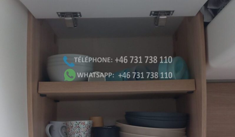 SUNLIGHT PROFILES T 69 L* 2022 full