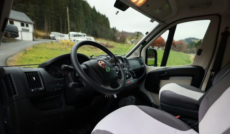 Roller Team Livingstone 2 Advance*2020 full